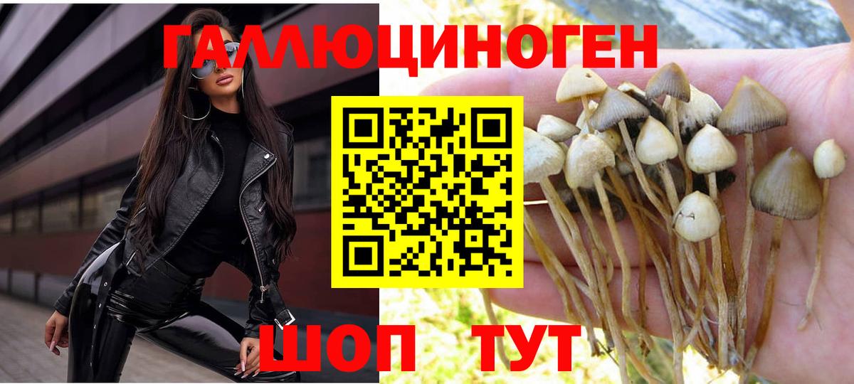 Галлюциногенные грибы мицелий  Вход с VPN  Белая Калитва 