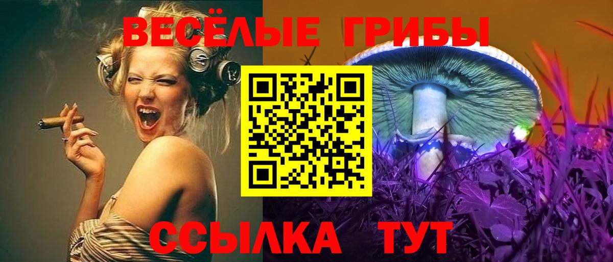 Псилоцибиновые грибы прущие грибы Белая Калитва
